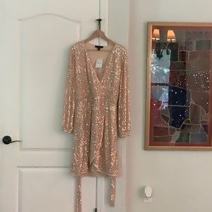 Cream Forever 21 Sequined Dress - 1X